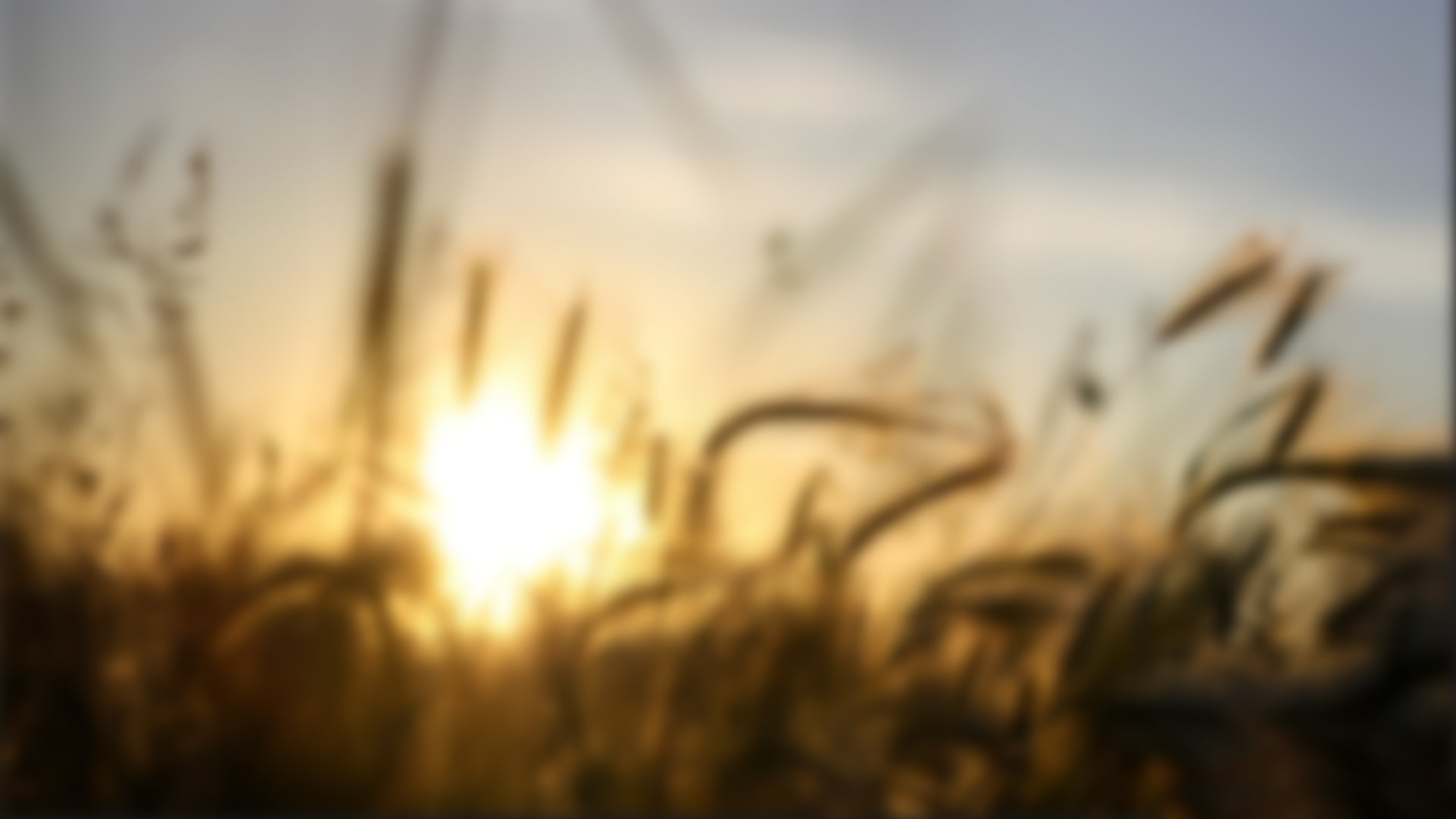 Generation Z 2.0_._1668026614